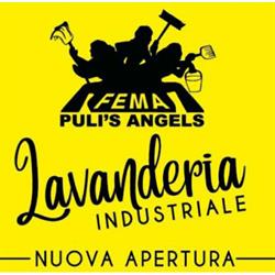 Lavanderia Industriale Fema