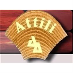 Attili