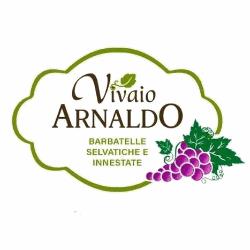 Vivai Arnaldo