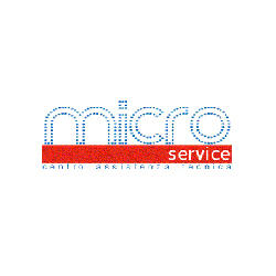Micro Service