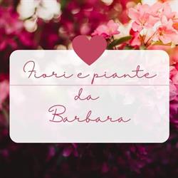 Fiori e Piante da Barbara