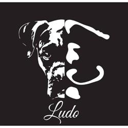 Ludovico