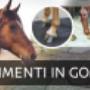 Pavimenti in Gomma per Box Cavalli