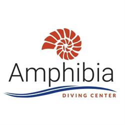 Diving Amphibia
