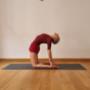 Yogalab Iyengar Yoga Francesca