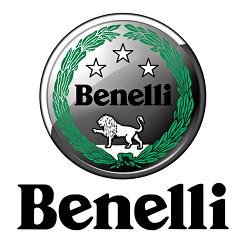 Ruote a Raggi - Benelli Pavia di Frosini Roberto