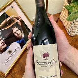 Cantina Scuropasso