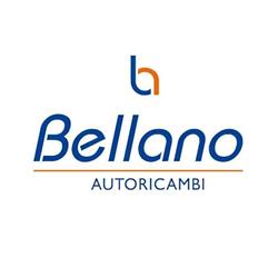 Bellano Autoricambi Vasto
