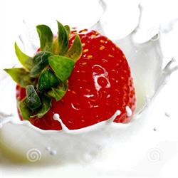 Gelateria Splash