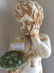 B&B Bruxelles Margherita