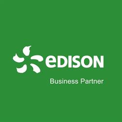 Punto Edison Business Partner