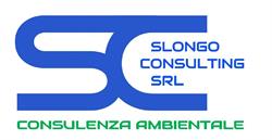 Slongo Consulting S.R.L.