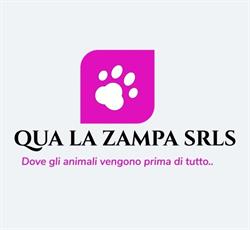 Qua la zampa srls negozio per animali e toelettatura