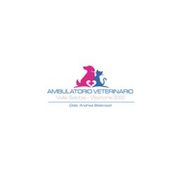 Ambulatorio Veterinario Valle Sabbia