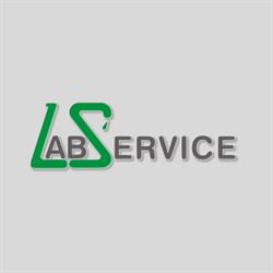 LAB SERVICE