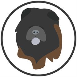 Toelettatura BB Groom