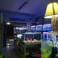 Waterworld/ Mondo Sommerso