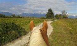 JL RANCH a.s.d.