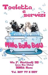 MILLE BOLLE BAU
