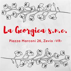 La Georgica snc
