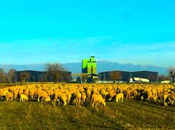 Agri-Cer Barin Srl - Essiccazione - Stoccaggio Cereali
