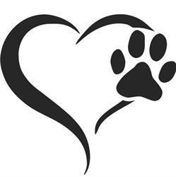 Impronte sul Cuore