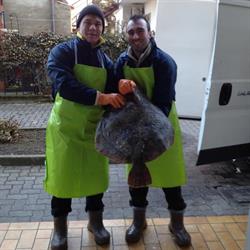 Pescheria da Marco - Campagna Lupia
