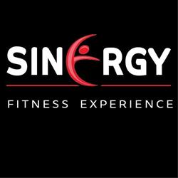 Palestra Sinergy - Fitness Experience