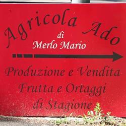 Agricola Ado