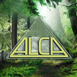 ALCA Legnami - Bricolegno e segheria