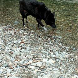 Non Solo Pesca