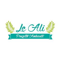 Pulizie LE ALI - Progetto Ambiente