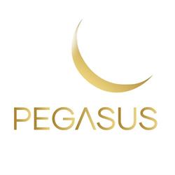 Pegasus Srl