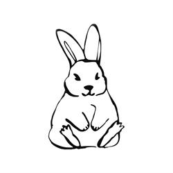 Bunnicola
