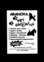 aranova pet grooming