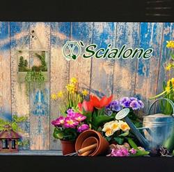 O'Scialone