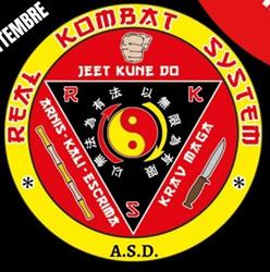 Real Kombat System