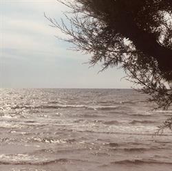 Lido La Fenice