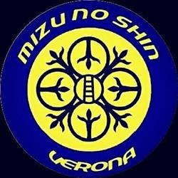 MMA Verona Mizu no shin arti marziali miste e kickboxing