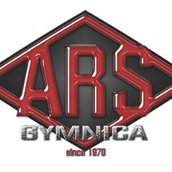 Palestra Ars Gymnica Di Verrigni