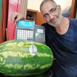 L'Angolo Della Frutta
