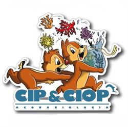 Cip&Ciop Acquariologia Napoli