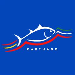 Carthago Srl