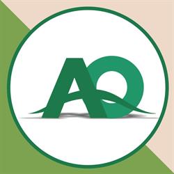 Area Quinto