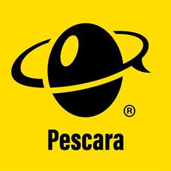Scuola Internazionale di Comics di Pescara