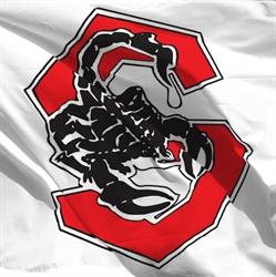 Campo Skorpions Varese