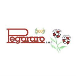 Pegoraro Ecology S.r.l. Unipersonale