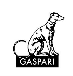 Gaspari Editore