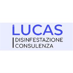 Lucas Disinfestazione Consulenza
