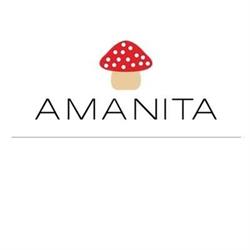 Amanita Milano